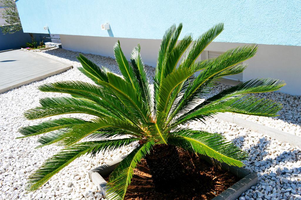 Permarinus Apartments Podstrana Bagian luar foto